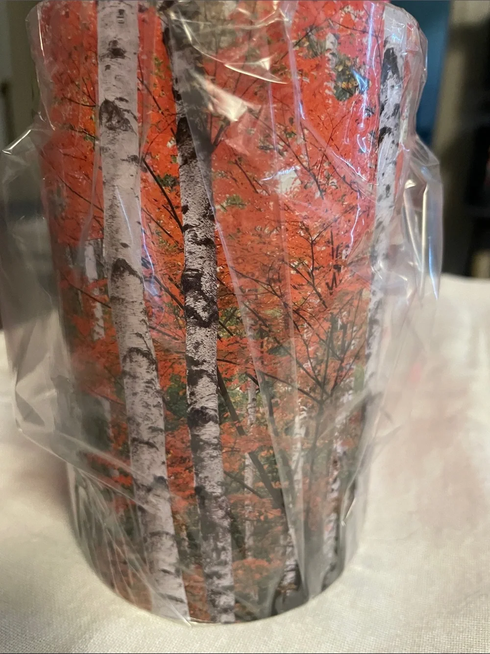 Autumn forest accent shade for a warmer